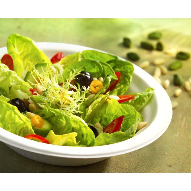 Einweg-Zuckerrohr-Schale Pure, 380 ml