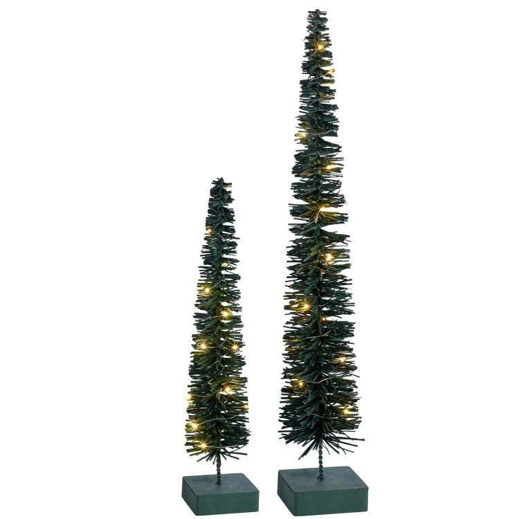 Baum Alberte