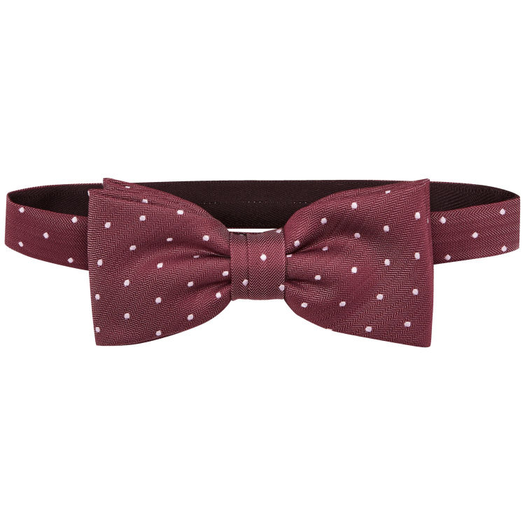 Nœud papillon Dot