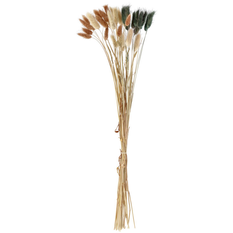 Trockenblumenbundle Finjas