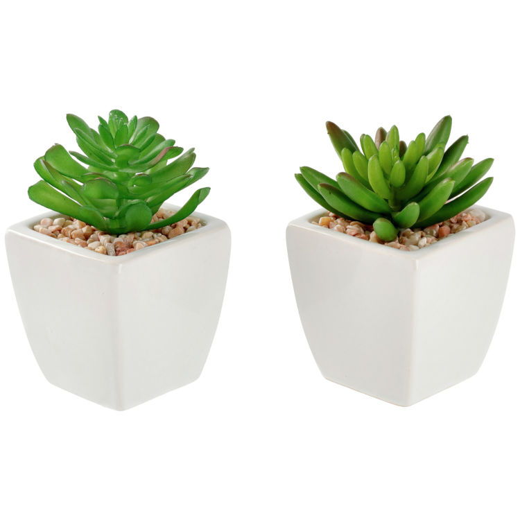 Set de plantes artificielles Afra