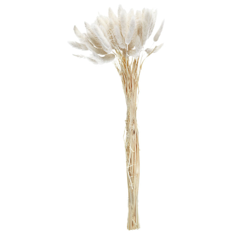 Ramillete de flores secas Ajda