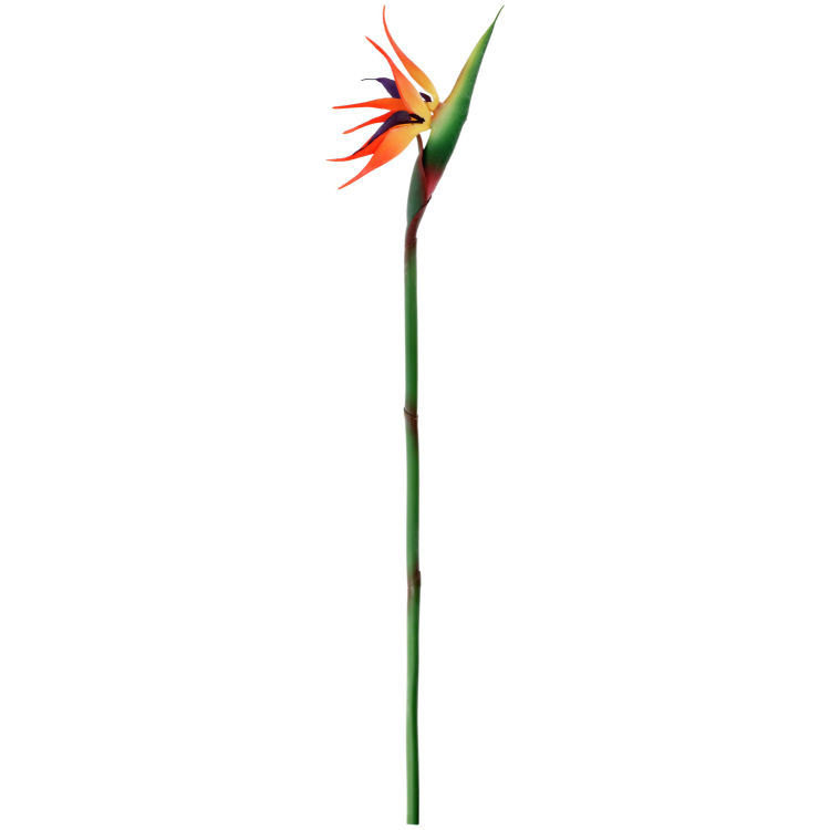 Strelitzia artificiel Machi