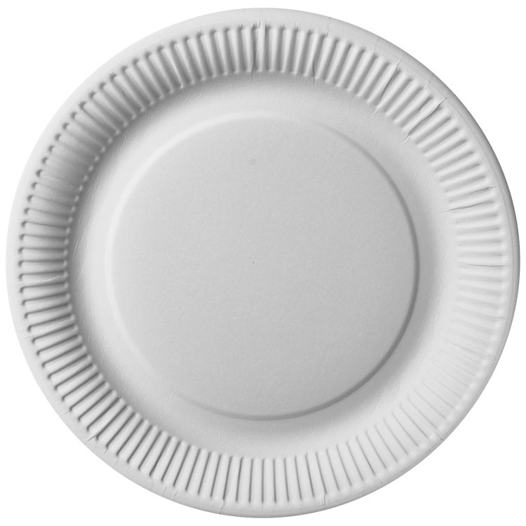 Einweg-Teller Pure, Frischfaser-Pappe