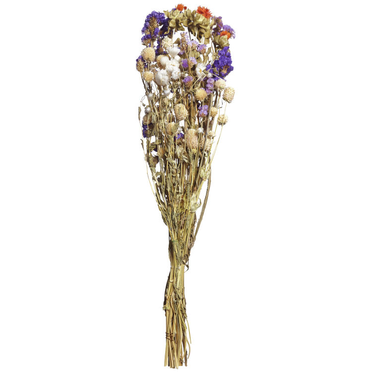 Fiori secchi decorativi Mai