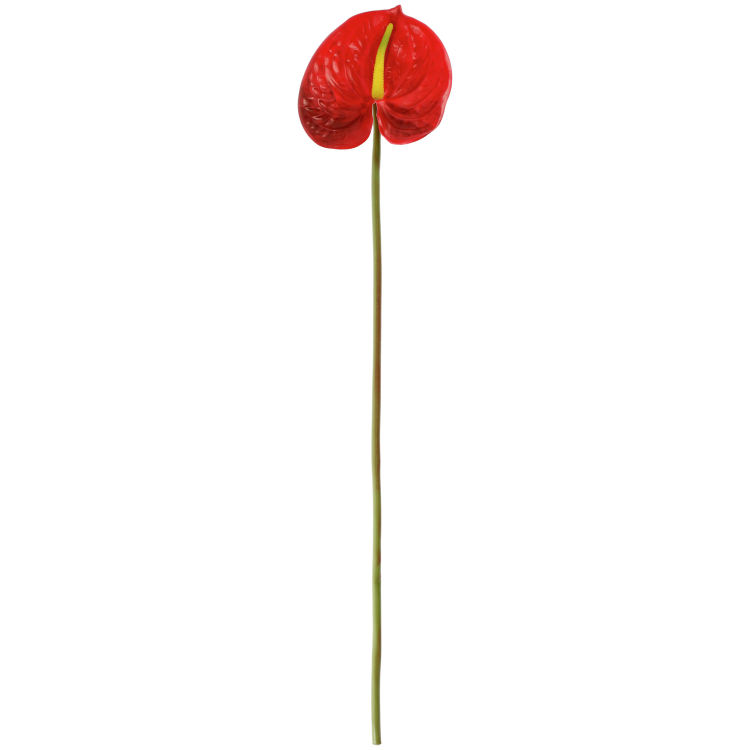 Anthurium artificiel Maali