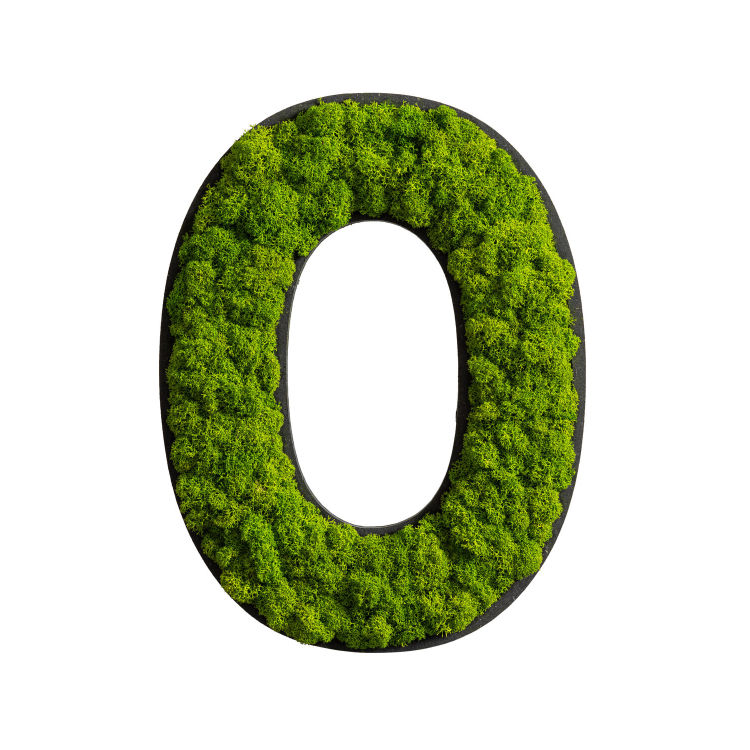 Piktogramm Buchstabe Islandmoos