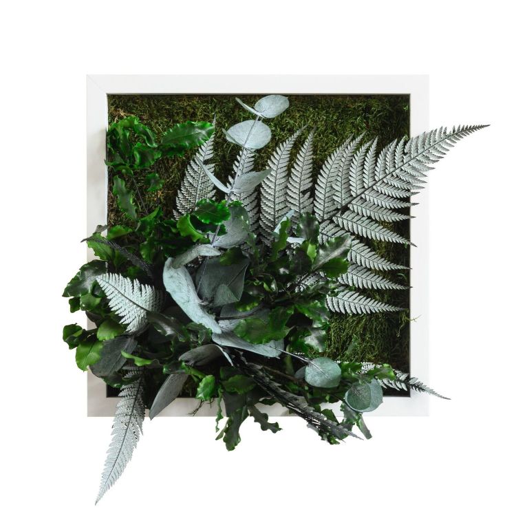 Pflanzenbild im Dschungeldesign 22x22cm Vollholz (weiß)