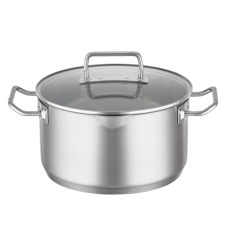 Kochtopf (F) mit Deckel EXPERTISO