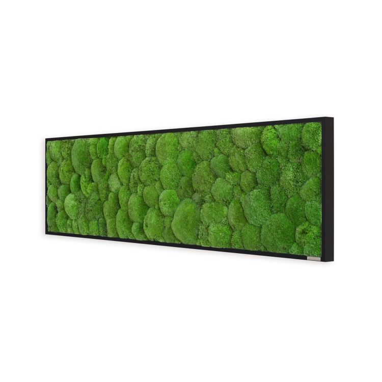 Kugelmoosbild 140x40cm Vollholz (schwarz)