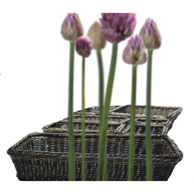 Corbeille LINE GN 1/1