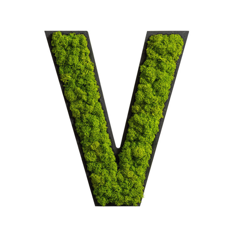 Piktogramm Buchstabe Islandmoos