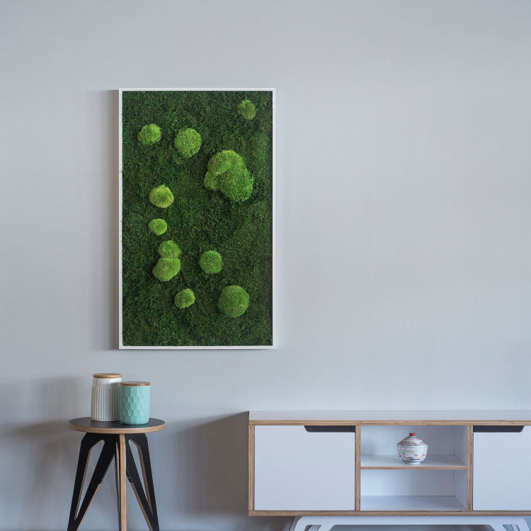 Wald- und Kugelmoosbild 100x60cm