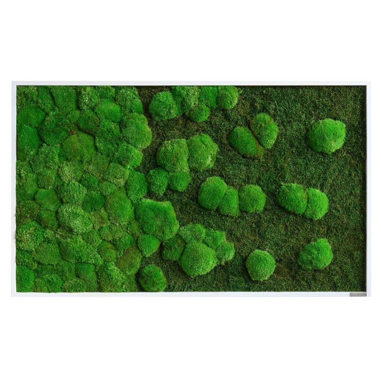 Wald- und Kugelmoosbild Verlauf 100x60cm Vollholz (schwarz)