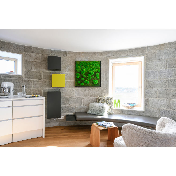 Wald- und Kugelmoosbild Verlauf 80x80cm Vollholz (schwarz)