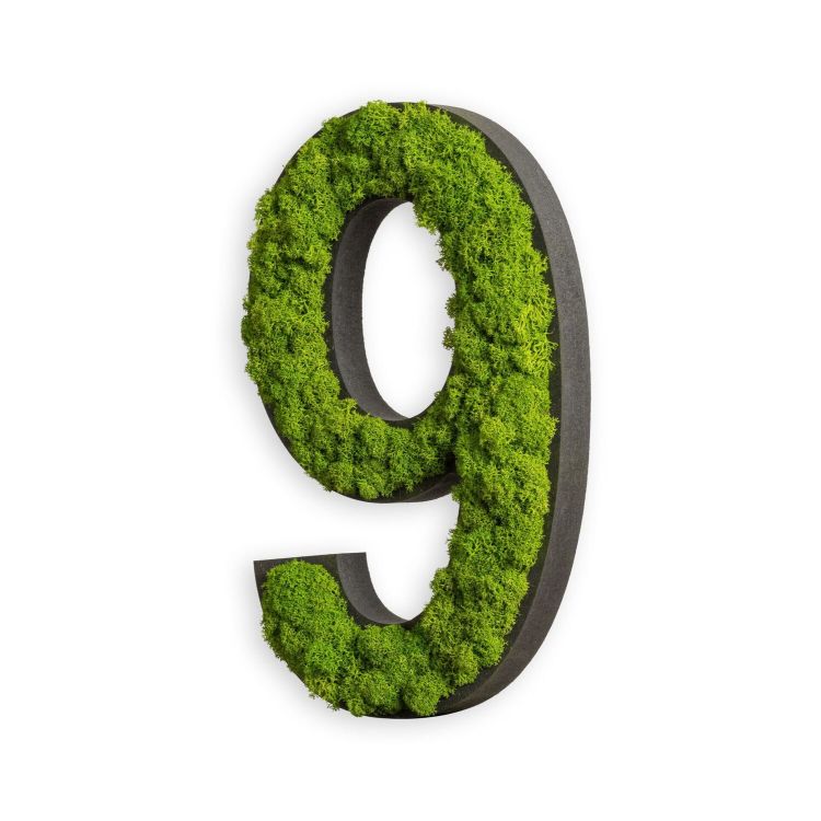 Piktogramm Zahl Islandmoos