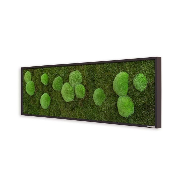 Wald- und Kugelmoosbild 140x40cm Vollholz (schwarz)