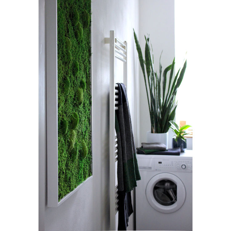 Kugelmoosbild 140x40cm