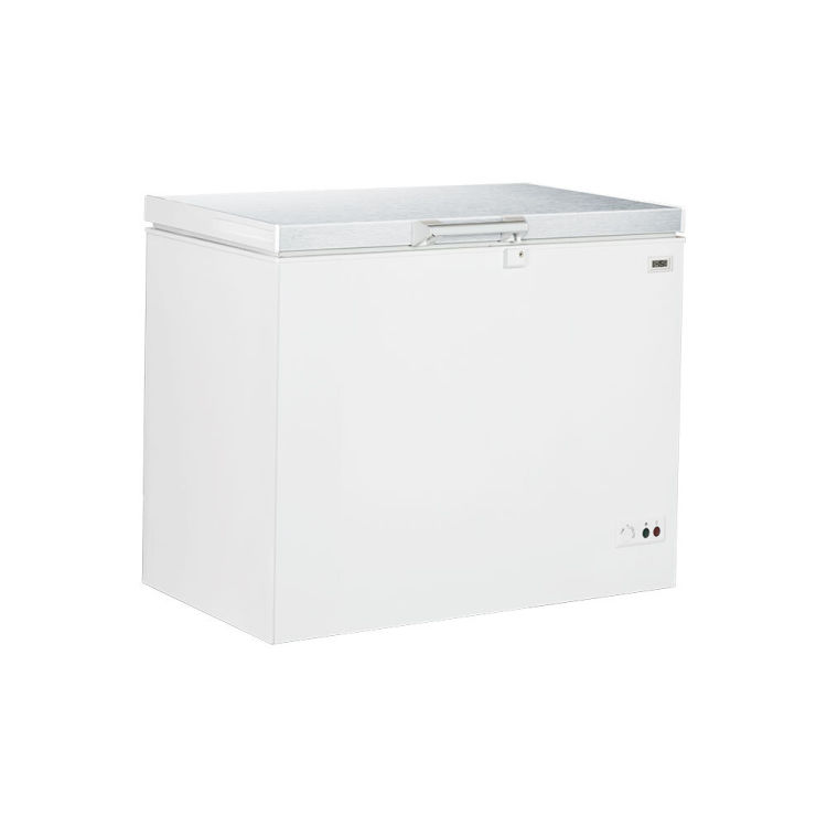 Congélateur 295 litres