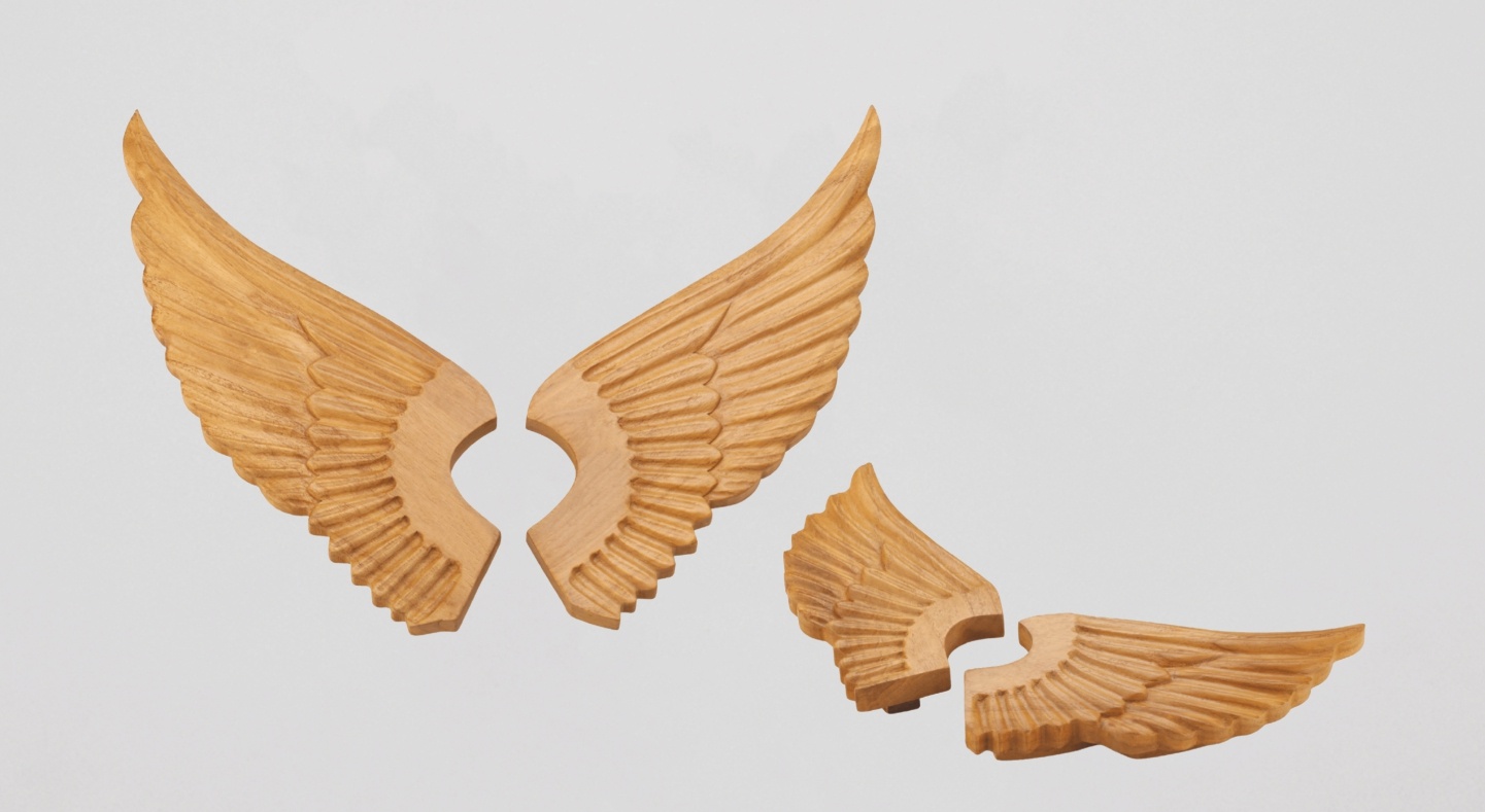 WINGS