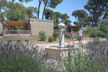 camping avignon parc vaucluse