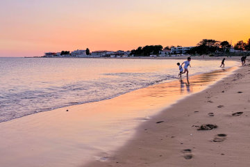 campin les blancs chenes la tranche sur mer