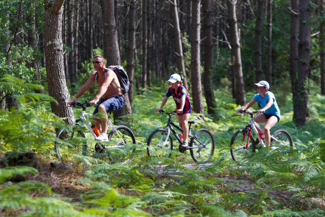 Club Famille Lou Pignada campsite - Landes