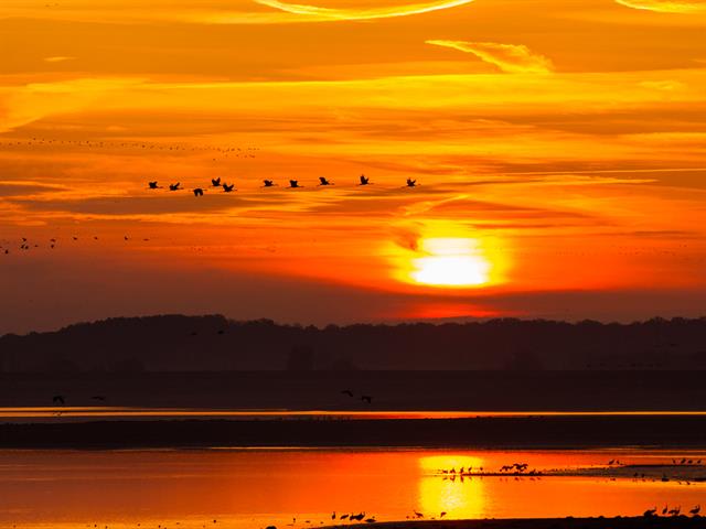 Le lac du Der dans la Marne