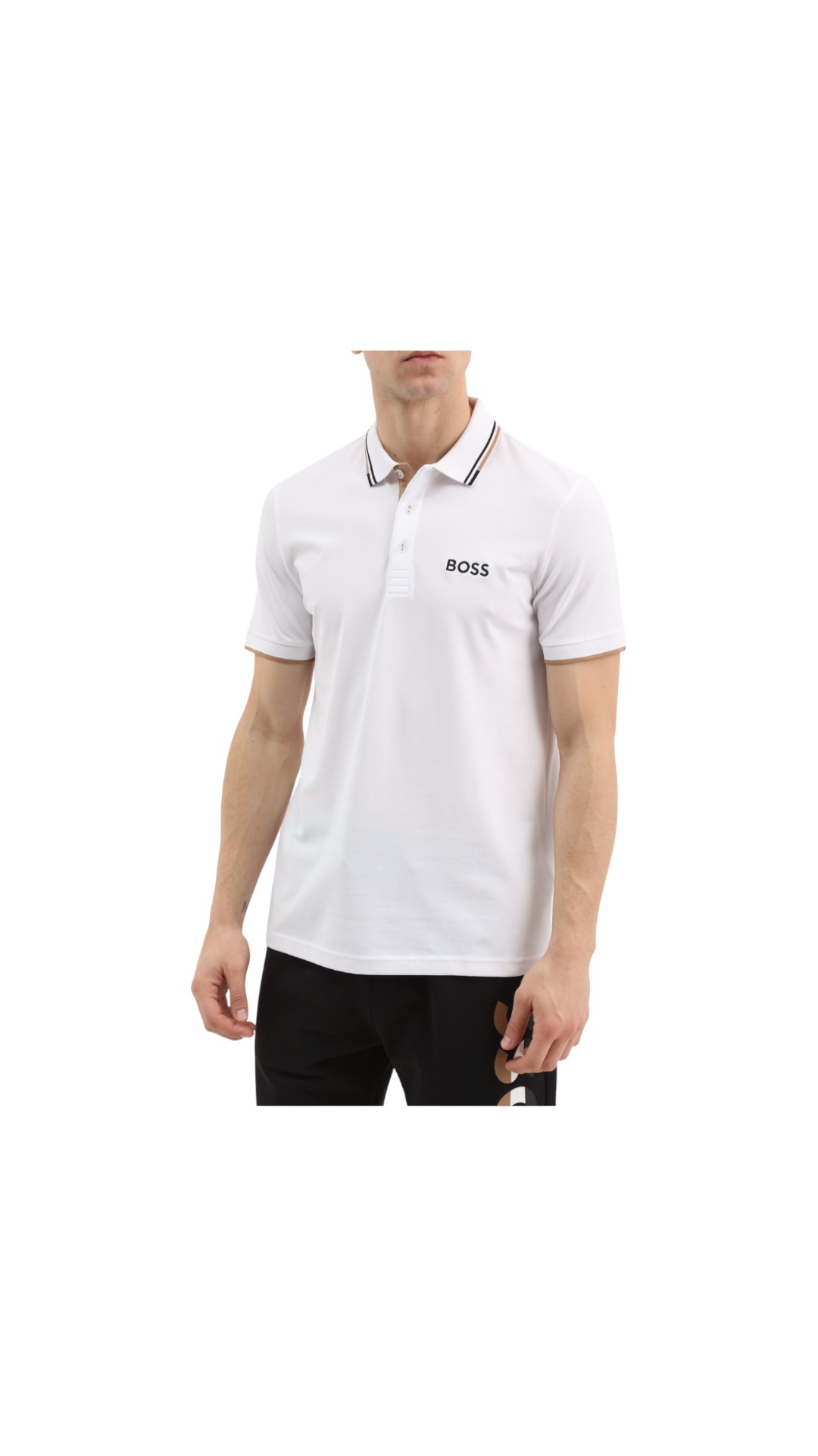 Polo Paddy