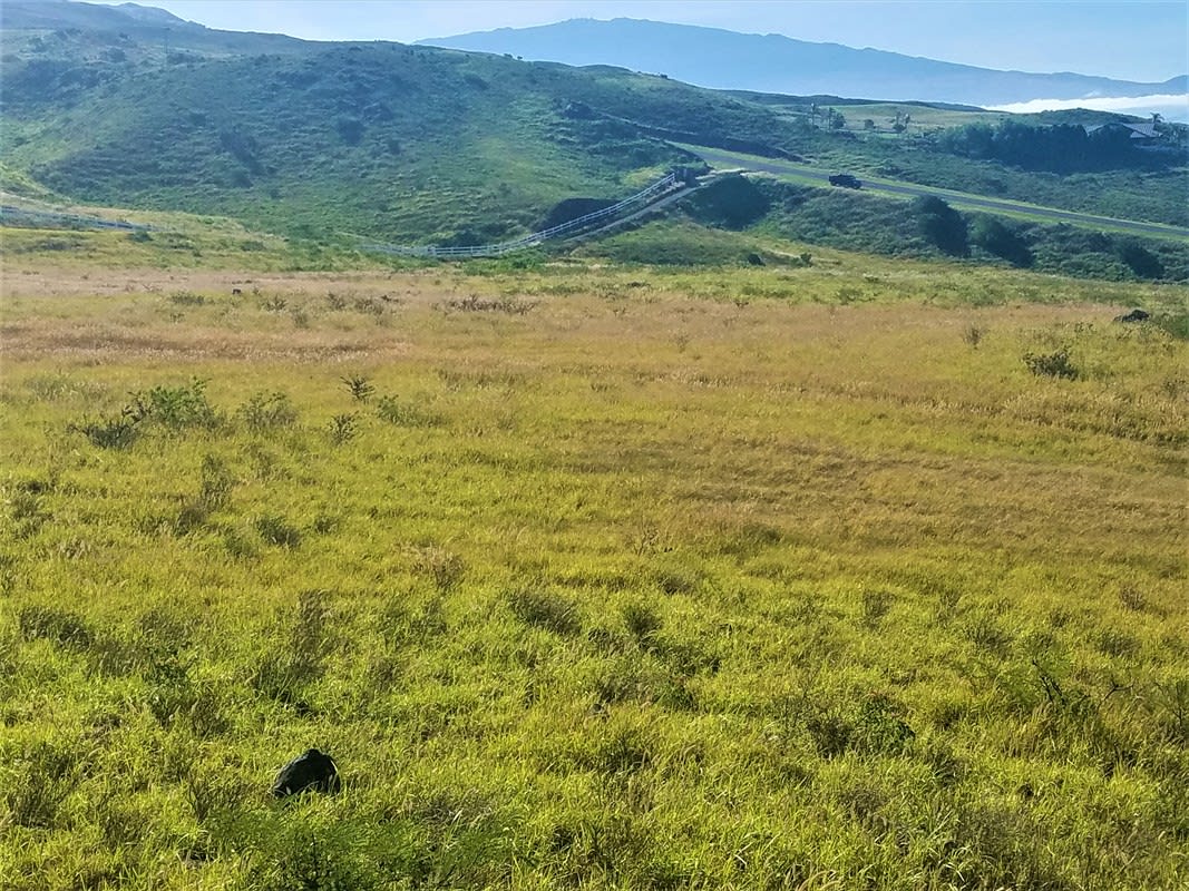 Kohala Ranch Rd Lot 149