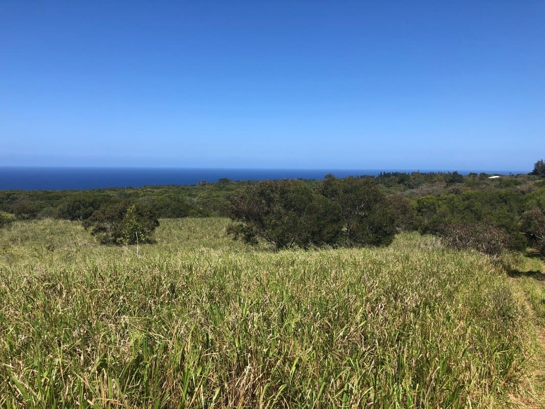 NORTH KOHALA LOT #306