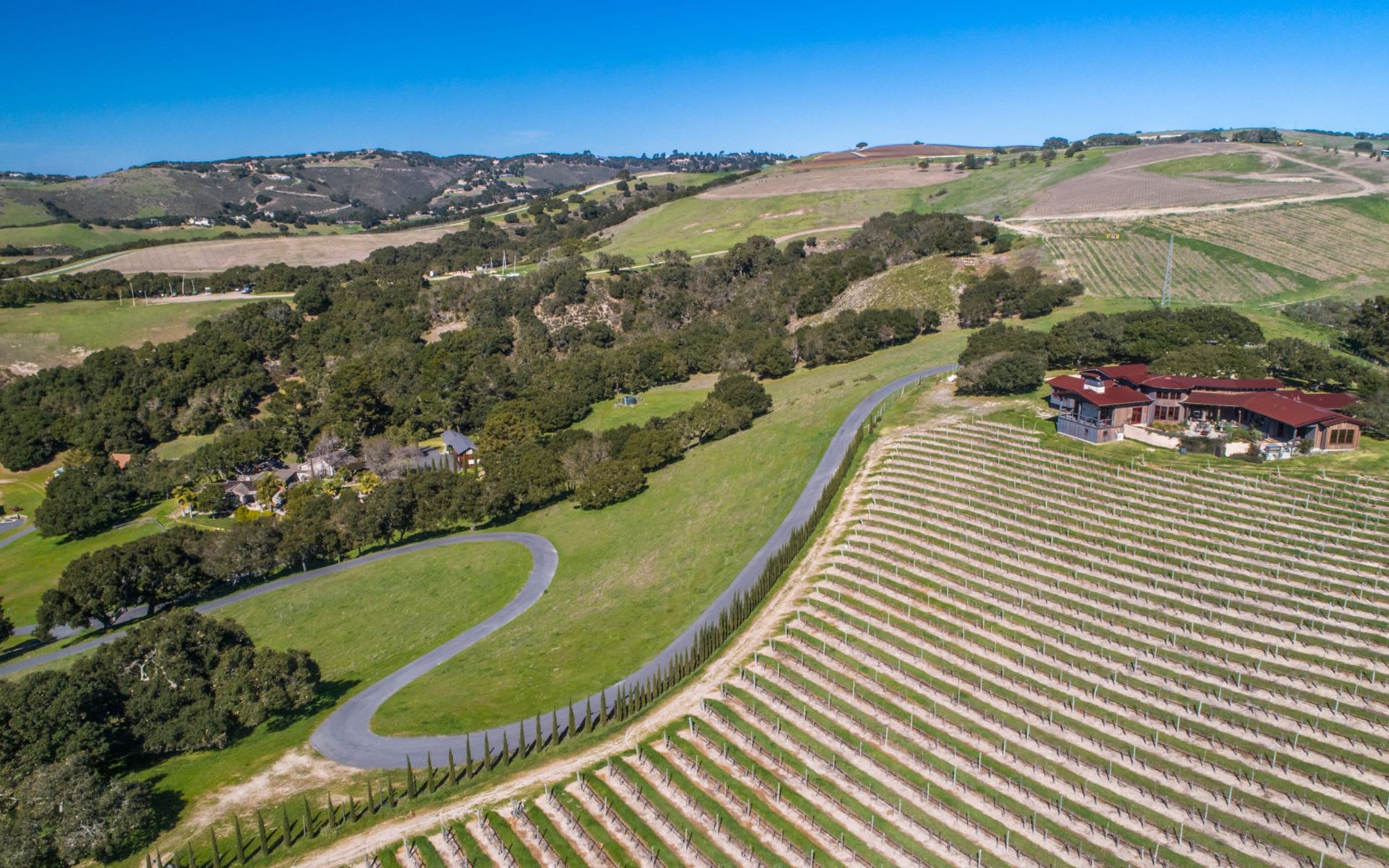 Vineyard For Sale in California The Talbott Diamond T Ranch in Carmel Valley Tim Allen