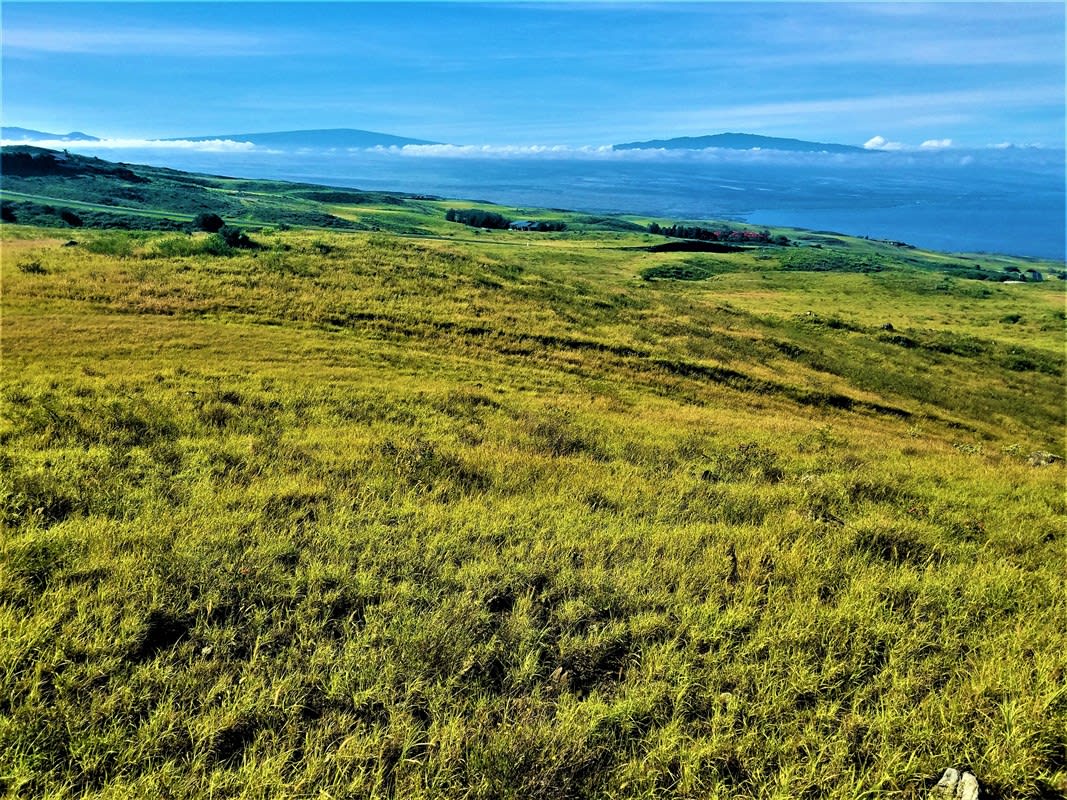 Kohala Ranch Rd Lot 149