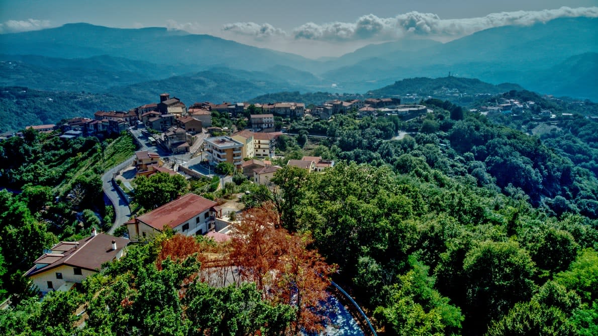 What's My Land Worth? Santa Rosa Luxury Real Estate Team