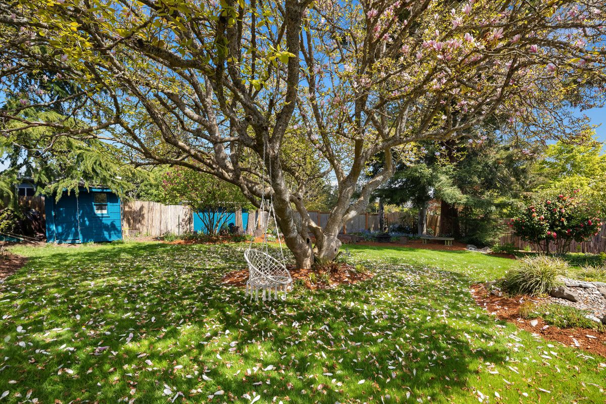 Charming Views in Arbor Heights