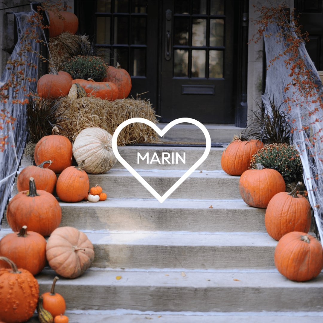 Marin County Real Estate October 2020 Report 