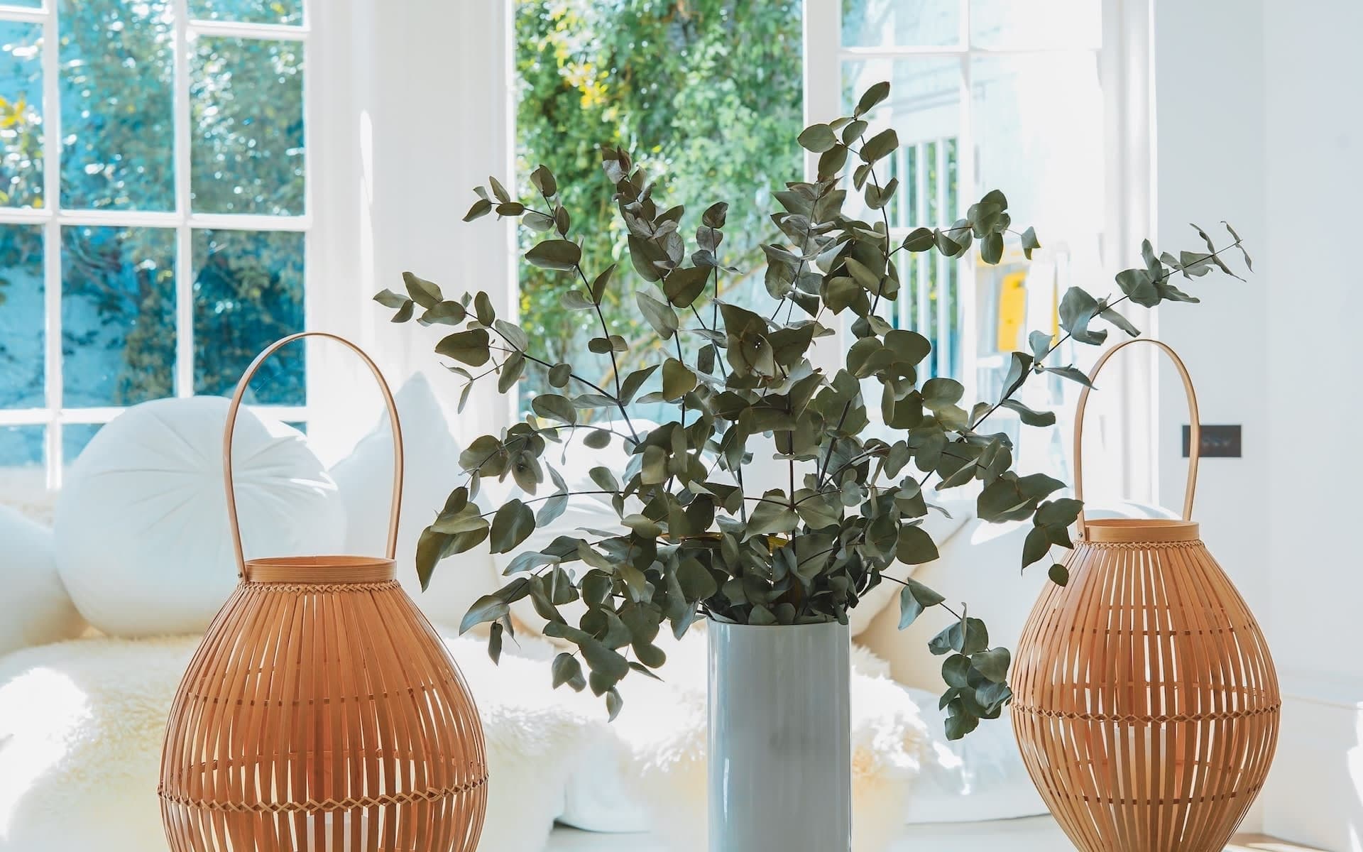 Glass vase beside a sunlit window