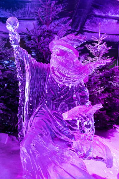 SO YOU WANT TO  BE AN ICE SCULPTOR?