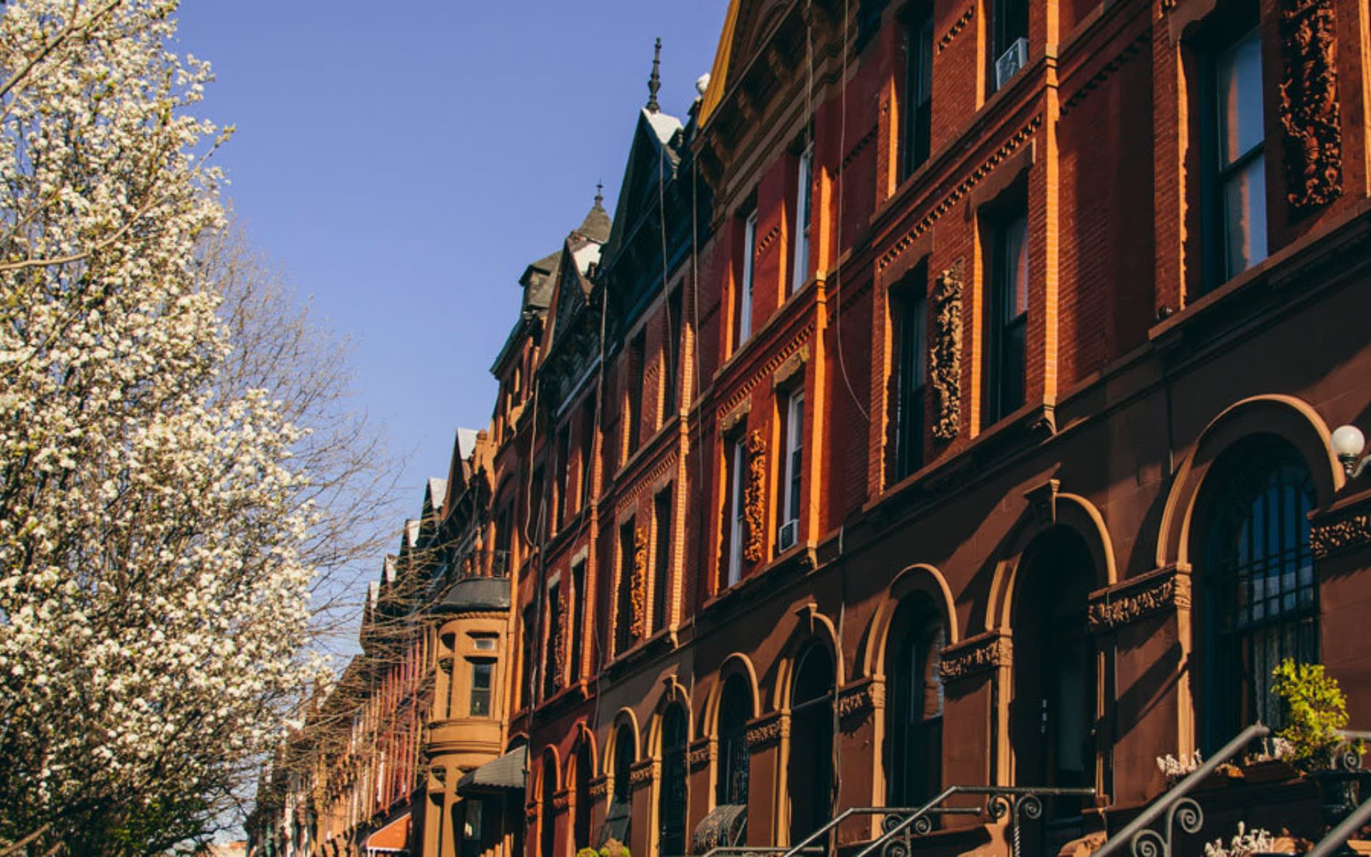 Bedford Stuyvesant Real Estate Neighborhood Guide Martin Eiden Team