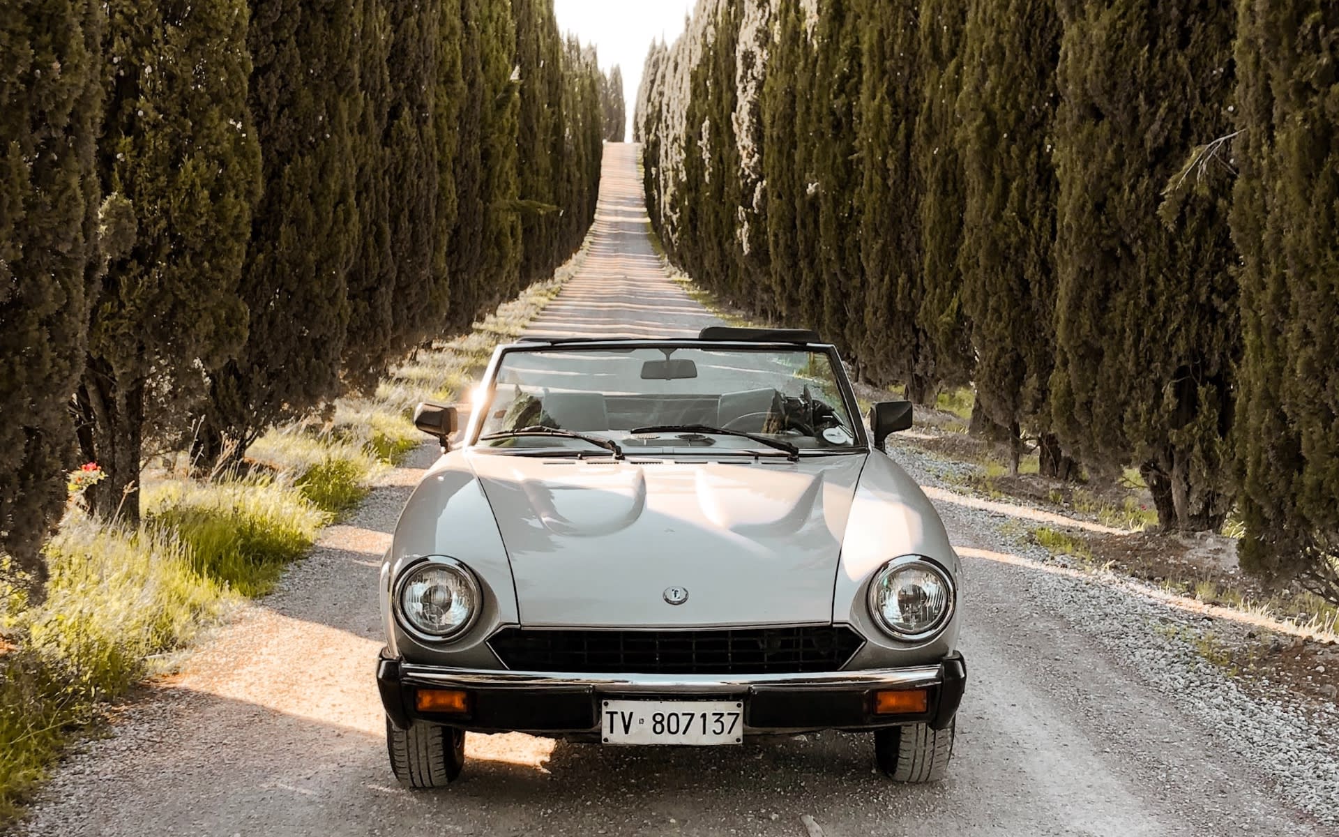 vintage car parked in the center of the road with trees along side the road