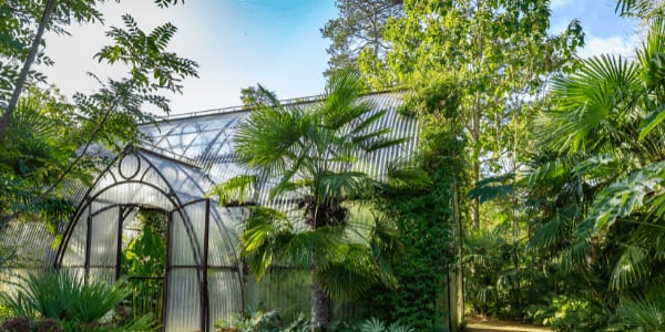 How Sweden Became the Surprising Center of the Greenhouse Home Movement