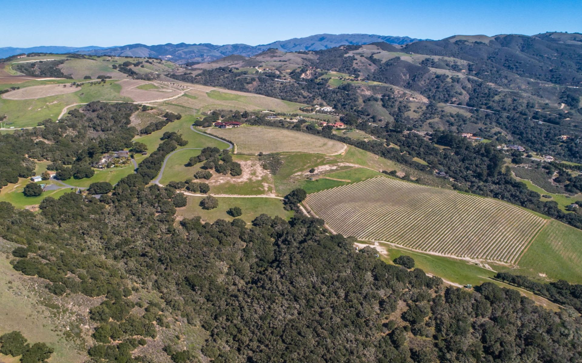 Vineyard For Sale in California The Talbott Diamond T Ranch in Carmel Valley Tim Allen