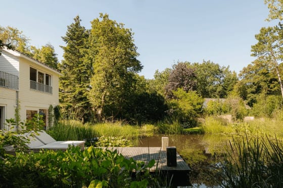 From Wild Swimming to Forest Bathing: 4 Properties That Get You Back to Nature