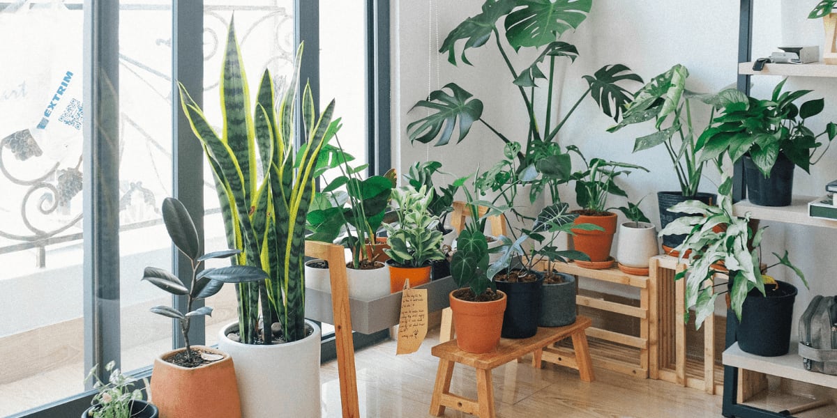 27 Great Ways To Decorate With Plants