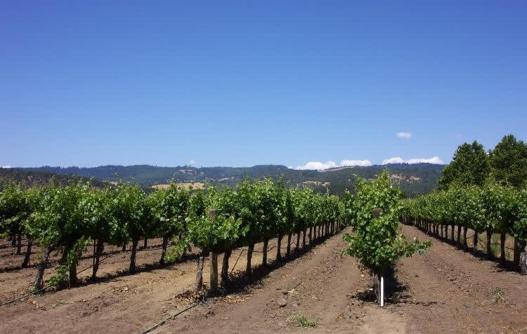 Vineyard on Zinfandel Lane - SOLD