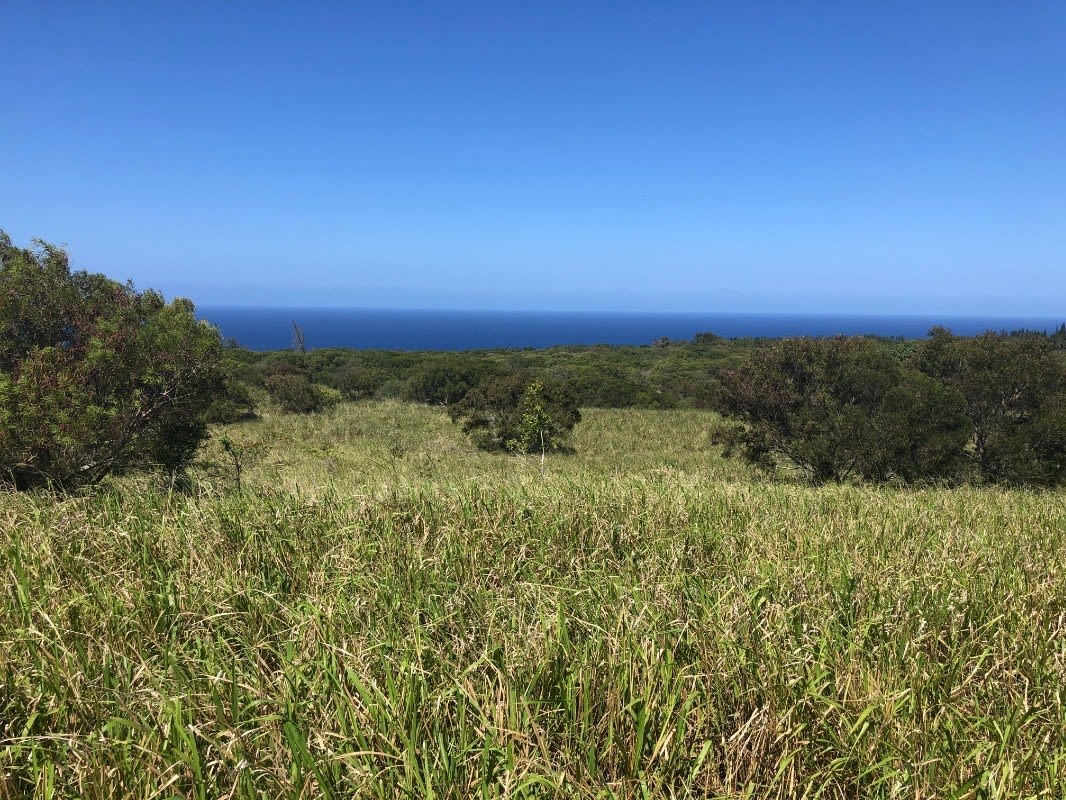 NORTH KOHALA LOT #306