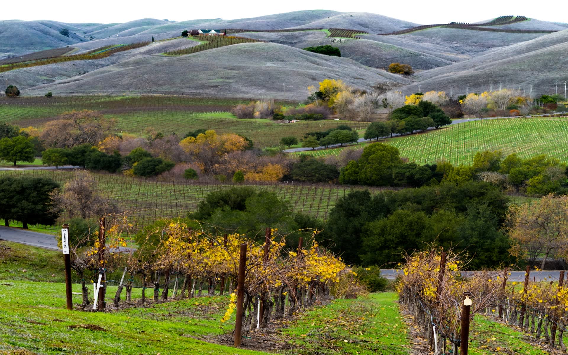 Wine Country Real Estate &amp; Homes For Sale