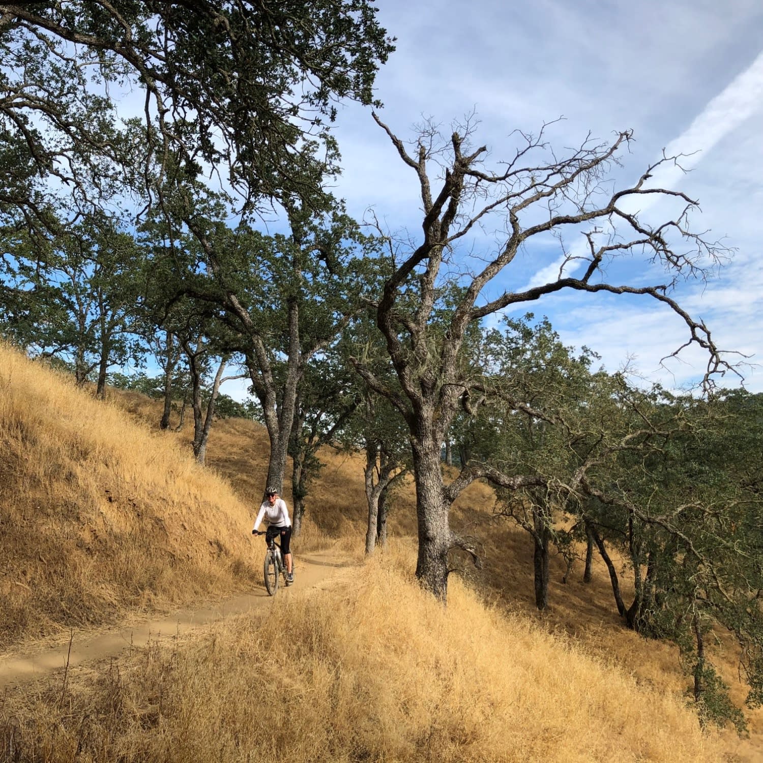 About Lara Carlson, MBA | California Real Estate Agent