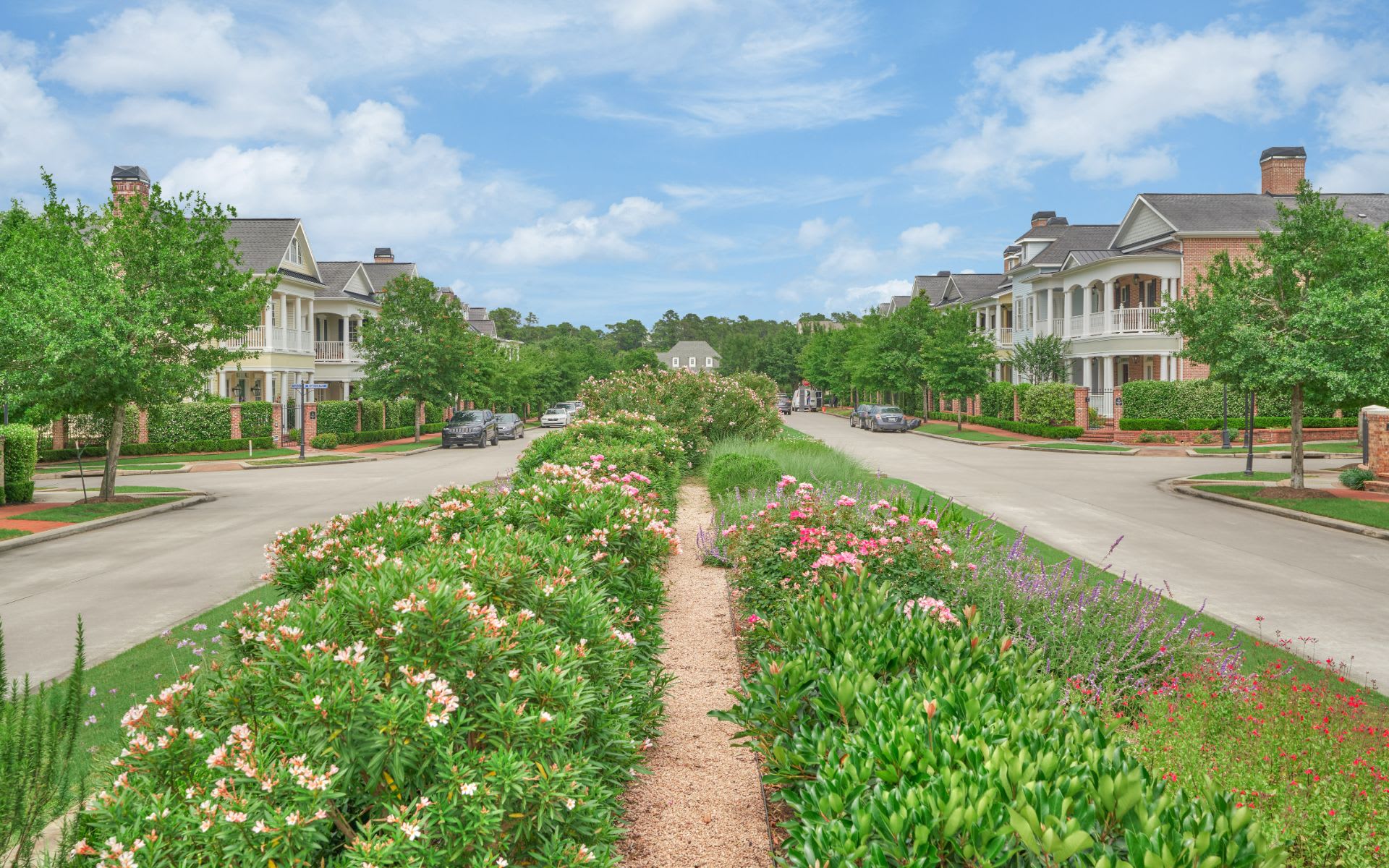 Jo Anne Johnson Real Estate Group The Woodlands Real Estate