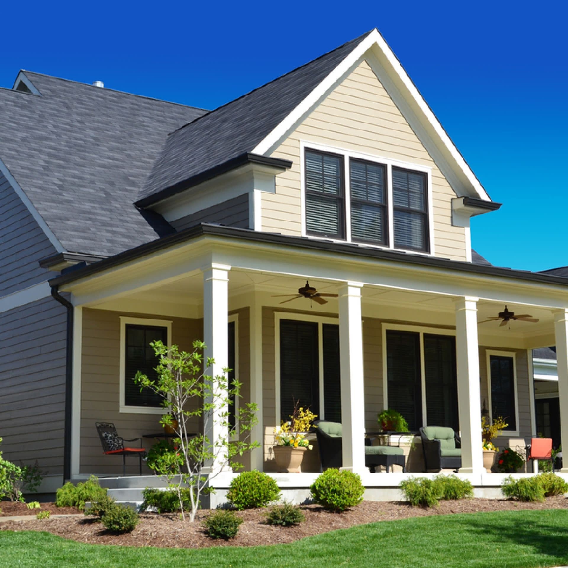 Beth Brody Mill Valley Real Estate Agent